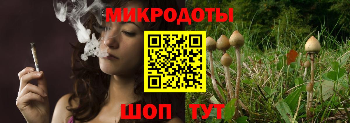 Алексин  Галлюциногенные грибы Cubensis  Вход с VPN  Псилоцибиновые грибы GOLDEN TEACHER 
